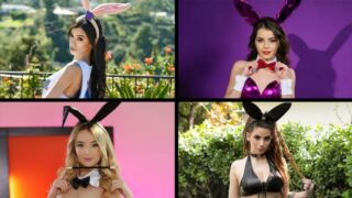 TeamSkeetSelects Bunny Babes Compilation